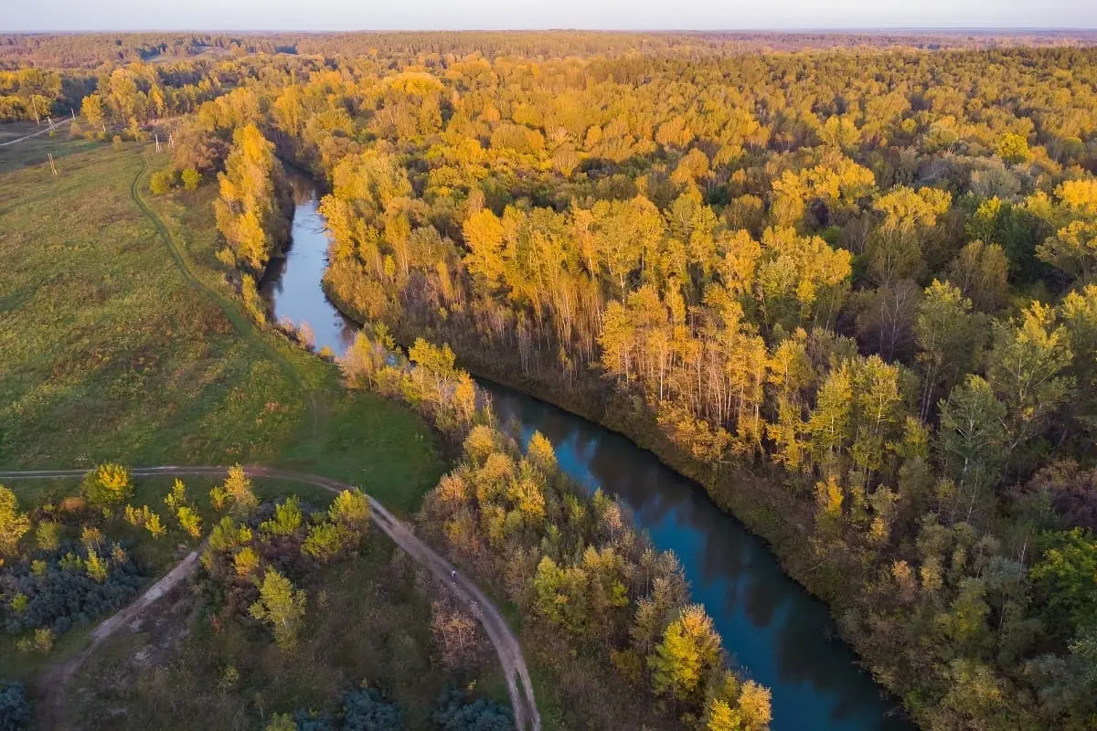 Эхо золотых гор